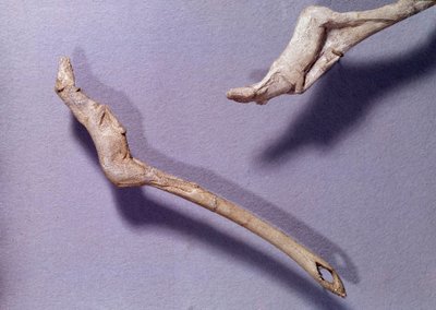 Pré-história: dois propulsores disseram "para o cavalo saltador" feito em madeira de rena. Período do Magdaleniano Médio. Saint Germain en Laye, Museu Nacional de Arqueologia de Prehistoric Prehistoric