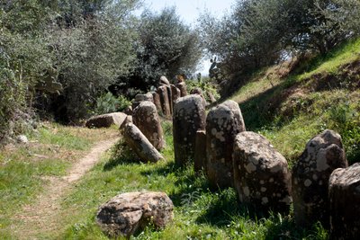 O sítio arqueológico do cromlech M Zora, em Sidi El Yamani (Marrocos). Monte de enterro neolítico (2000 a.C.), rodeado por 167 monólitos. de Prehistoric Prehistoric