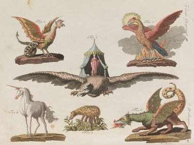 Livro infantil Enciclopédia infantil por Friedrich Johann Justin Bertuch, 1798-1830. de Pupils of the Weimar Princely Free