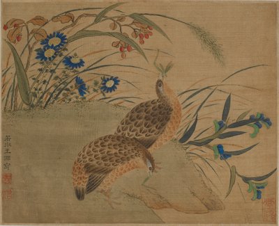 Dois, codorniz, comer, gafanhotos, sob, flores de Qing Dynasty Chinese School