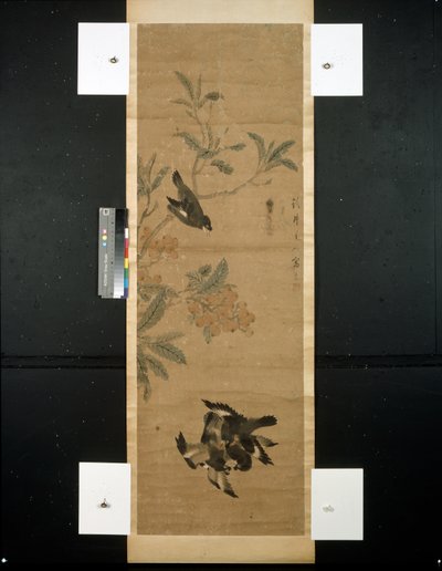 Aves e ramo de Qing Dynasty Chinese School