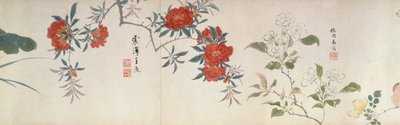 Flores, Handscroll (tinta e cor sobre papel) de Qing Dynasty Chinese School