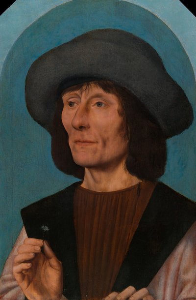 Retrato de um homem com um rosa, 1504-14 de Quentin Massys or Metsys