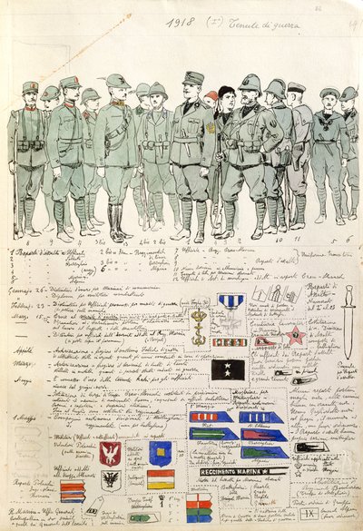 Uniformes do Reino de Itália por Quinto Cenni, Placa de cor de Quinto Cenni