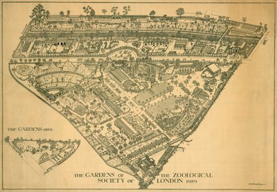 Zoológico de Londres, Regents Park, Westminster, 1929 de RB Brook Greaves