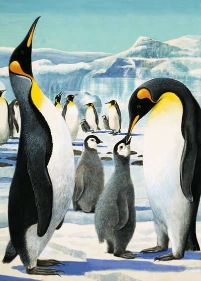 Rei Pinguim de R.B. Davis