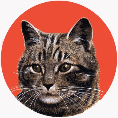 Gato malhado, de "Treasure" (Tesouro) de R.B. Davis