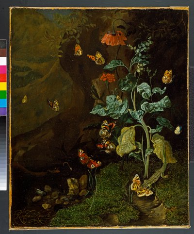 Natureza morta com flores, borboletas e um lagarto em um vale, antes de 1750 de Rachel Ruysch