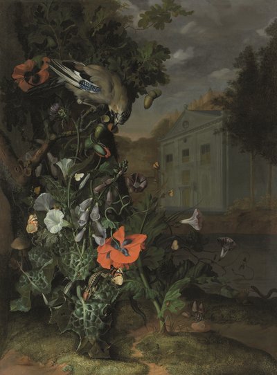 Chão de floresta com uma fachada clássica por detrás (óleo sobre tela) de Rachel Ruysch