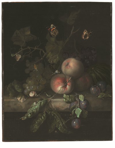 Pêssegos, uvas e ameixas com uma libélula, um caracol, uma lagarta, traças e outros insectos num parapeito de pedra de Rachel Ruysch