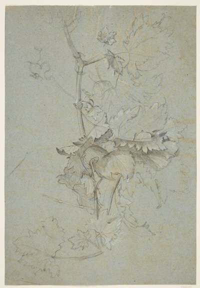 Estudo de plantas de Rachel Ruysch