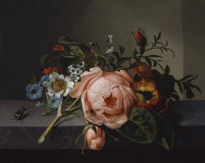 Natureza morta com Rose Branch, Beetle e Bee, 1741 (óleo sobre tela montado em carvalho) de Rachel Ruysch