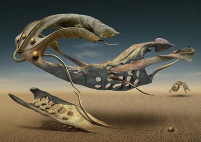 Formas Flutuantes do Deserto de Radoslav Penchev