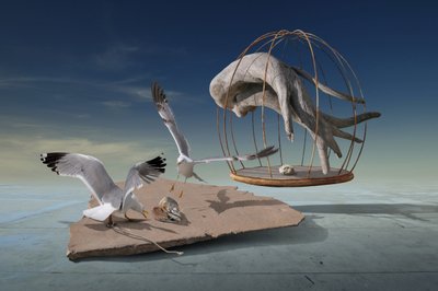 Gaivotas escapam de gaiola surreal de Radoslav Penchev
