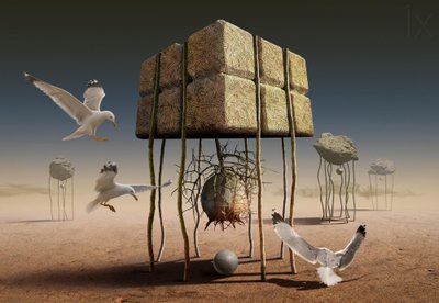 Gaivotas sobre as estruturas do deserto de Radoslav Penchev