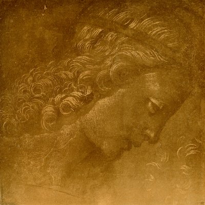 Estude em uma cabeça de anjo de Raffaellino del Garbo