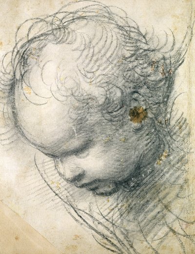 Cabeça de um querubim (giz preto e carvão sobre papel) de Raffaello Sanzio Raphael