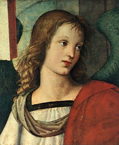 Cabeça de um anjo, c. 1500 de Raffaello Sanzio Raphael