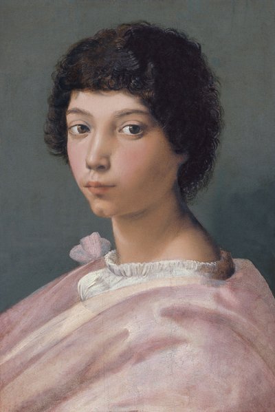 Retrato de um jovem de Raffaello Sanzio Raphael