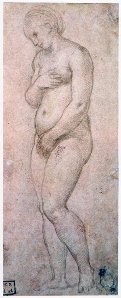 Estudo de Vênus, c1500-1520 de Raffaello Sanzio Raphael