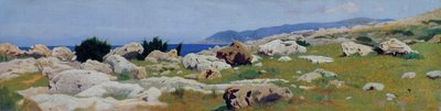 Castiglioncello a partir de Punta del Bocca, c.1864 (óleo sobre tela) de Raffaello Sernesi