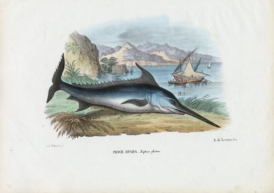 Espadarte, 1863-79 de Raimundo Petraroja