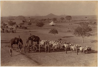 Bateria de campanha pesada, Jhansi de Raja Deen Dayal