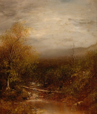 Piscina no Adirondacks de Ralph Albert Blakelock