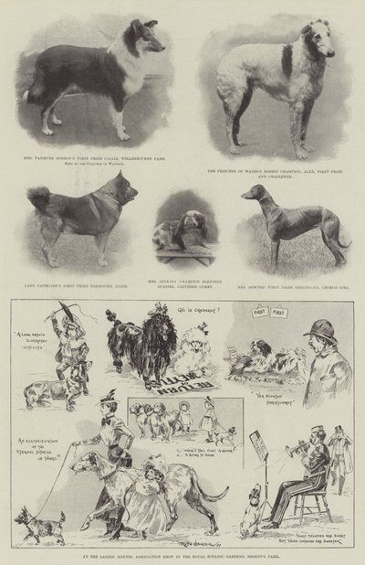 No Ladies &39;Kennel Association Show no Royal Botanic Gardens, o Regent&39;s Park de Ralph Cleaver