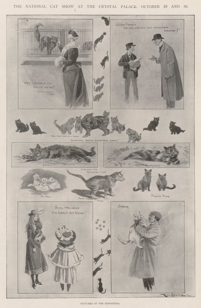 O National Cat Show no Crystal Palace, 29 e 30 de outubro de Ralph Cleaver