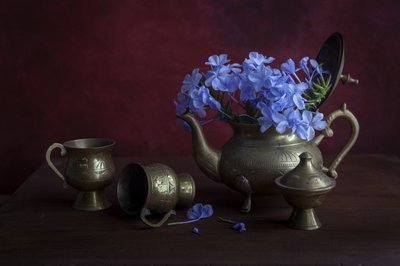  de Ramiz Sahin