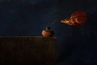  de Ramiz Sahin