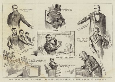 O Debate sobre as armas (Irlanda) Projeto de lei, notas na Câmara dos Comuns de Randolph Caldecott