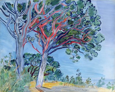 O pinheiro vermelho de Raoul Dufy