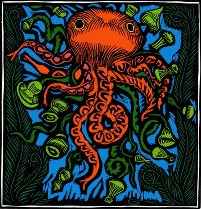 Zoologia / Vida marinha / Polvo de Raoul Dufy