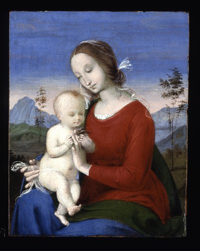 A Virgem e a Criança com uma Ave (óleo sobre madeira) de Raphael (1483 1520)