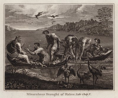 Desenho animado do Raphael: Miraculous Draught of Fishes, Luke, Capela V (gravura) de after Raphael