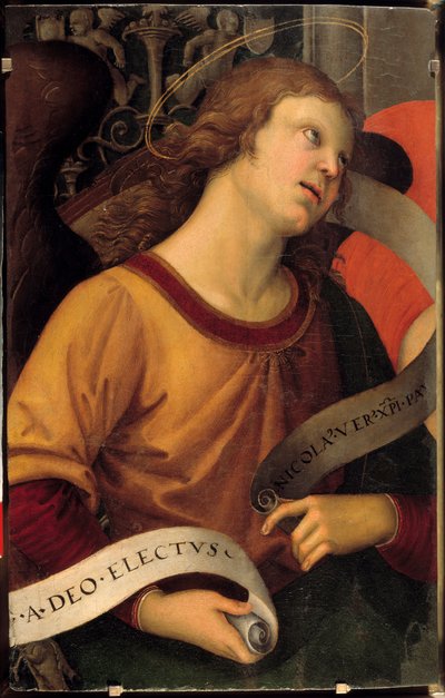 Um anjo. Um fragmento do retábulo do Baronci. Pintura de Raffaello Sanzio dit Raphael (1483-1520) de Raphael