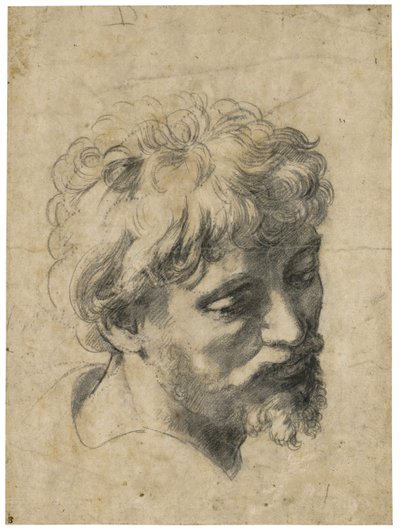 "Retrato de jovem apóstolo" (Cabeça de jovem apóstolo) Carvão vegetal sobre papel de Rafael (Raffaello Sanzio) (1483-1520) Coleção particular de Raphael