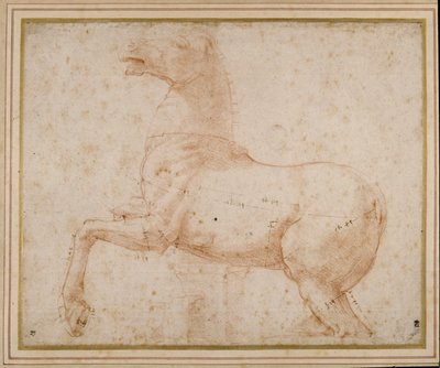 Estudo de um cavalo (caneta e tinta e lápis sobre papel) de Raphael