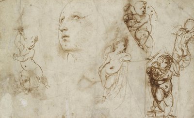 Vários estudos, principalmente para o Borghese-Beckford St Catherine (caneta e tinta castanha em papel não branco) de Raphael