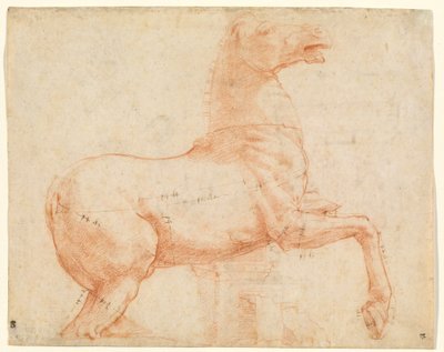 Um Cavalo de Mármore no Monte Quirinal [reto] de Raphael
