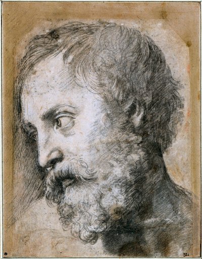 Chefe de um Estudo Apóstolo de Transfiguração, 1519-1520 de Raffaello Sanzio Raphael
