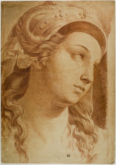 Chefe de Comit de Raphael