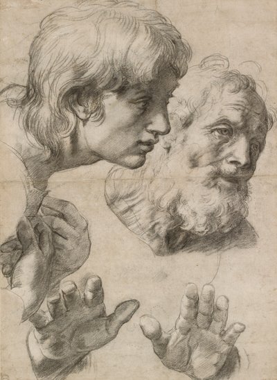 Estudos das cabeças de dois apóstolos e de suas mãos, século XVI de Raphael