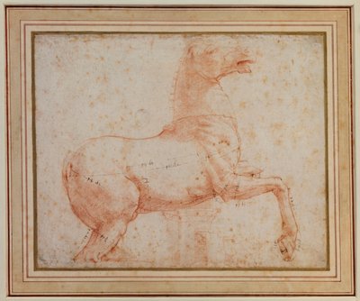 Estudo de um dos cavalos de mármore quirinal, c.1515-17 de Raphael