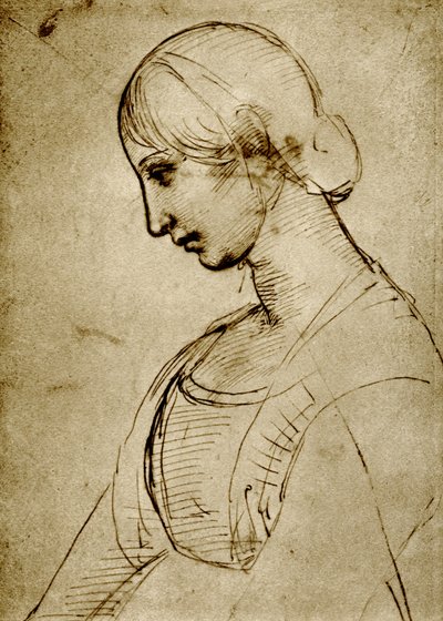 Estudo sobre uma Madonna de Raffaello Sanzio Raphael