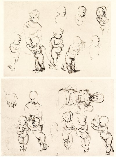 Vários projetos para Madonna no campo de Raffaello Sanzio Raphael