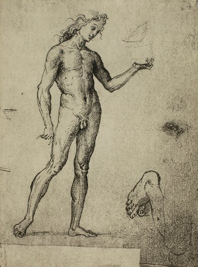 Estudo nu masculino; desenho de Raphael. Gallerie dellAccademia, Veneza de Raffaello Sanzio Raphael