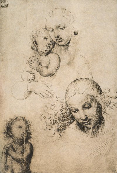 Estudo para uma Madonna e Criança, desenhando por Raffaello Sanzio. Gabinete de Desenhos e Gravuras, Galeria Uffizi, Florença de Raffaello Sanzio Raphael